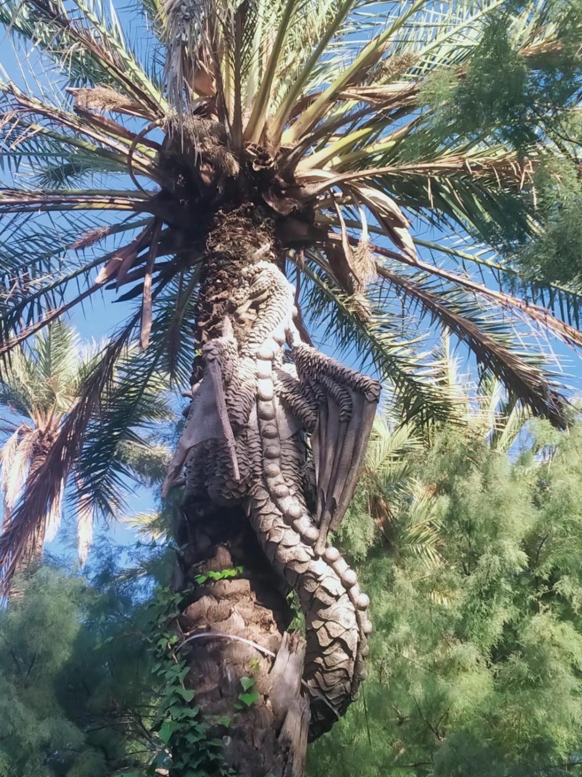 Sol De Mar, La Mata Apartman La Mata  Kültér fotó