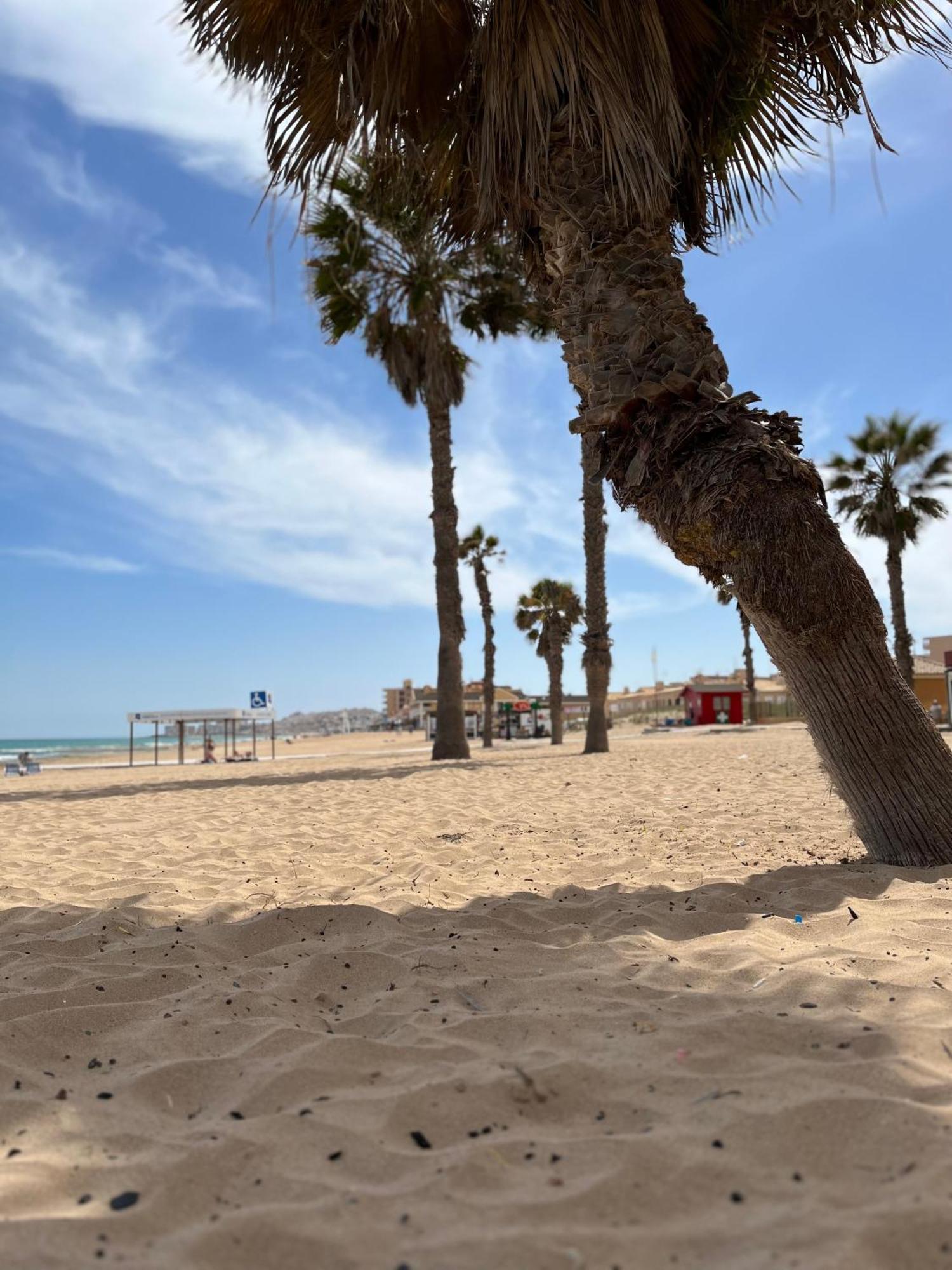Sol De Mar, La Mata Apartman La Mata  Kültér fotó
