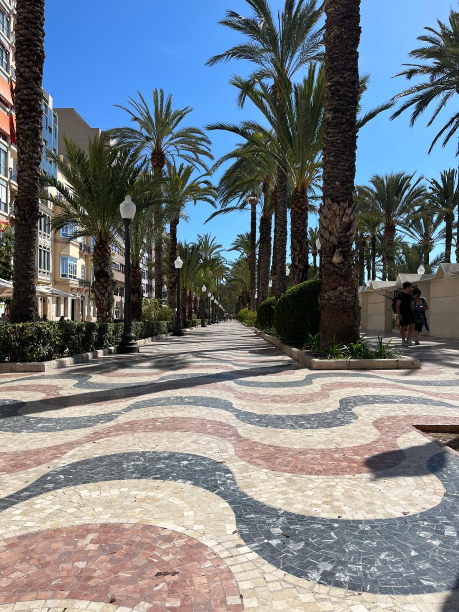 Sol De Mar, La Mata Apartman La Mata  Kültér fotó