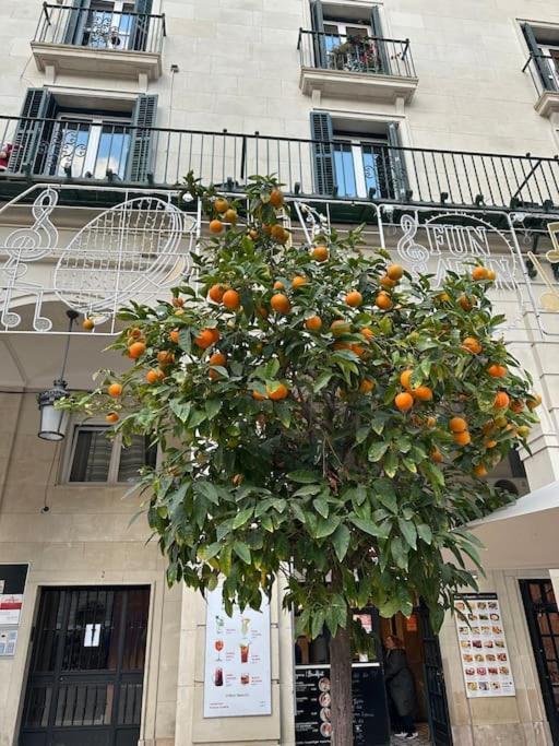 Sol De Mar, La Mata Apartman La Mata  Kültér fotó