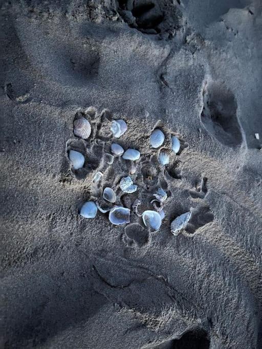 Sol De Mar, La Mata Apartman La Mata  Kültér fotó